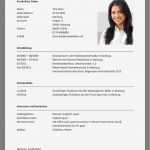 Lebenslauf Vorlage ältere Bewerber Bewundernswert Erfreut Professionelle Bewerber Ideen Bilder Für Das