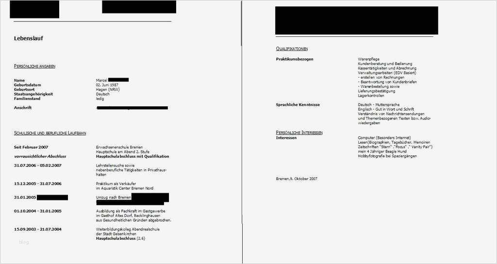 Lebenslauf Vorlage Arbeitsamt Süß Brokenflames Druckvorschau Bewerbung Schreiben