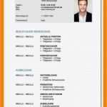 Lebenslauf Vorlage Ausbildung Bewundernswert 9 Lebenslauf Ausbildung Vorlage Word