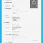 Lebenslauf Vorlage Ausbildung Bewundernswert Lebenslauf Vorlage Ausbildung Kostenloser Download