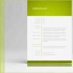 Lebenslauf Vorlage Ausbildung Elegant Eu Lebenslauf Zum Download Mit Anschreiben In Ms Word