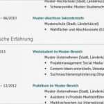 Lebenslauf Vorlage Blau Angenehm Klassisches Lebenslauf Muster Mit Dunklem Blau Zum