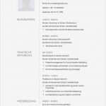 Lebenslauf Vorlage Blau Einzigartig 31 Best Lebenslauf Vorlagen & Muster Images On Pinterest