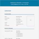 Lebenslauf Vorlage Blau Großartig 31 Best Images About Lebenslauf Vorlagen & Muster On Pinterest