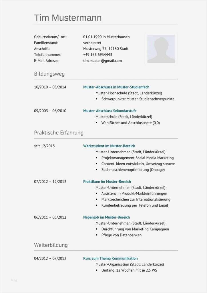 Lebenslauf Vorlage Blau Wunderbar Klassisches Lebenslauf Muster Mit Dunklem Blau Zum
