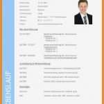 Lebenslauf Vorlage Din 5008 Kostenlos Einzigartig 11 Din 5008 Lebenslauf