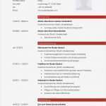 Lebenslauf Vorlage Din 5008 Kostenlos Einzigartig Bewerbungsmuster Animateur