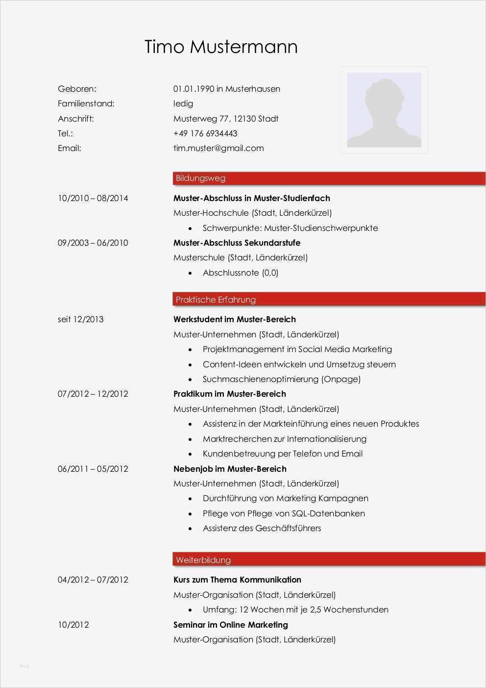 Lebenslauf Vorlage Din 5008 Kostenlos Einzigartig Bewerbungsmuster Animateur