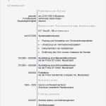 Lebenslauf Vorlage Din 5008 Kostenlos Fabelhaft Musterbewerbung It Kundenbetreuer In Download