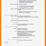 Lebenslauf Vorlage Din 5008 Kostenlos Großartig 11 Din 5008 Lebenslauf