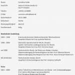 Lebenslauf Vorlage Doc Großartig Lebenslauf Doc Lebenslauf Beispiel