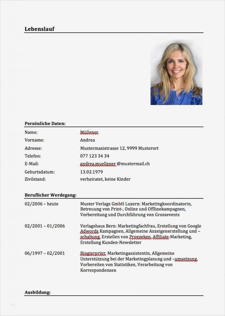 Lebenslauf Vorlage Download Best Of Lebenslauf Muster