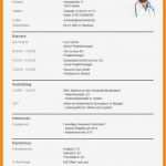 Lebenslauf Vorlage Download Bewundernswert 10 Lebenslauf Vorlage