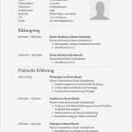 Lebenslauf Vorlage Download Erstaunlich 31 Best Lebenslauf Vorlagen &amp; Muster Images On Pinterest