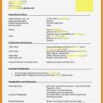 Lebenslauf Vorlage Duales Studium Angenehm 9 Lebenslauf Duales Studium