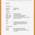 Lebenslauf Vorlage Duales Studium Einzigartig 9 Lebenslauf Duales Studium