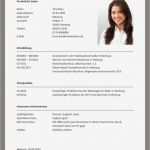 Lebenslauf Vorlage Duales Studium Erstaunlich Bewerbung Um Einen Ausbildungsplatz Bewerbung Um Einen