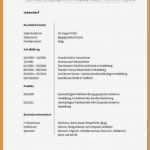 Lebenslauf Vorlage Duales Studium Gut 5 Lebenslauf Duales Studium