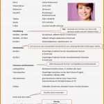 Lebenslauf Vorlage Duales Studium Süß 7 Lebenslauf Studium