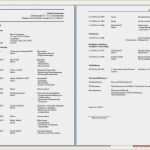 Lebenslauf Vorlage Fsj Einzigartig Großartig Lehrer Lebenslauf Vorlage Galerie Ideen