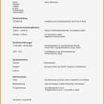 Lebenslauf Vorlage Fsj Elegant 14 Stu Nabbruch Lebenslauf