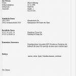 Lebenslauf Vorlage Fsj Erstaunlich Lebenslauf Mit 17 Schule Bewerbung Abitur