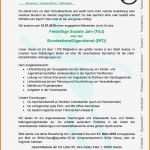 Lebenslauf Vorlage Fsj Schön 11 Lebenslauf Fsj