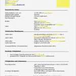 Lebenslauf Vorlage Für Eine Ausbildung Genial Vorlage Lebenslauf Für Duales Studium Bewerbungsforum
