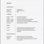 Lebenslauf Vorlage Für Praktikum Angenehm Beispiel Lebenslauf Fachinformatiker Bewerten