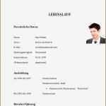 Lebenslauf Vorlage Für Praktikum Genial 17 Lebenslauf Praktikum Vorlagen123 Vorlagen123