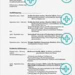 Lebenslauf Vorlage Für Praktikum Hübsch Lebenslauf Praktikum Studentin Beispiele