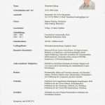 Lebenslauf Vorlage Für Praktikum Schön Muster Lebenslauf Word Muster Lebenslauf Für Praktikum