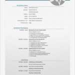 Lebenslauf Vorlage Für Studenten Einzigartig Professionelle Lebenslauf Vorlage Google Docs Job