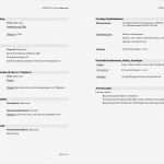 Lebenslauf Vorlage Für Studenten Erstaunlich Lebenslauf Vorlagen Headhunter100