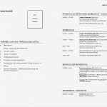 Lebenslauf Vorlage Für Studenten Gut Lebenslauf Vorlagen Headhunter100