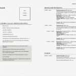 Lebenslauf Vorlage Für Studenten Süß Lebenslauf Vorlagen Headhunter100