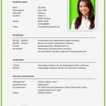 Lebenslauf Vorlage Für Studium Erstaunlich Lebenslauf Muster Beispiel Muster Lebenslauf Vorlage