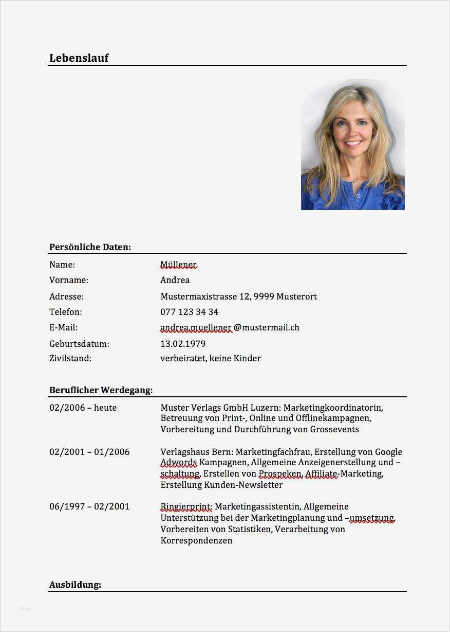 Lebenslauf Vorlage Hausfrau Erstaunlich Bewerbung Hausfrau Bewerbung Hausfrau Lebenslauf Muster