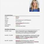 Lebenslauf Vorlage Hausfrau Großartig Bewerbung Hausfrau Bewerbung Hausfrau Lebenslauf Muster