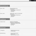 Lebenslauf Vorlage Kostenlos Download Angenehm Lebenslauf Muster 3 Grau Kostenlos En