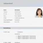Lebenslauf Vorlage Kostenlos Download Einzigartig Lebenslauf Vorlage Zum Download