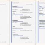 Lebenslauf Vorlage Kostenlos Download Genial 11 Lebenslauf Muster Download Vorlagen123 Vorlagen123