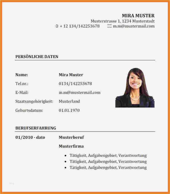 Lebenslauf Vorlage Kostenlos Elegant 9 Professioneller Lebenslauf