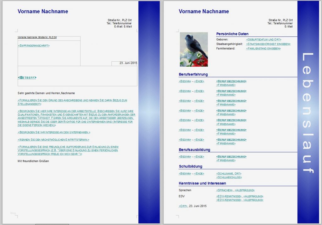 57 Süß Lebenslauf Vorlage Libreoffice Abbildung 1 Lebenslauf Vorlage Libreoffice Beste Bewerbungsvorlagen F R Libreoffice