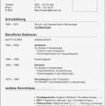 Lebenslauf Vorlage Libreoffice Elegant Ausgezeichnet Einfache Lebenslauf Vorlage Bilder