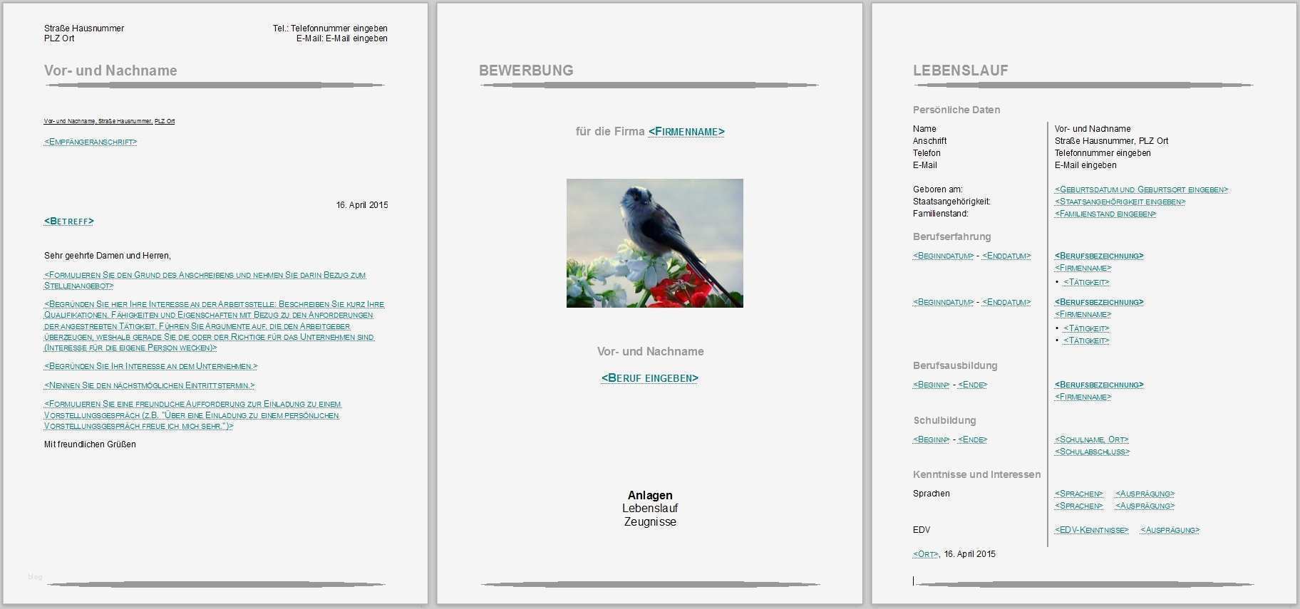 Lebenslauf Vorlage Libreoffice Elegant Bewerbungsvorlagen Für Libreoffice
