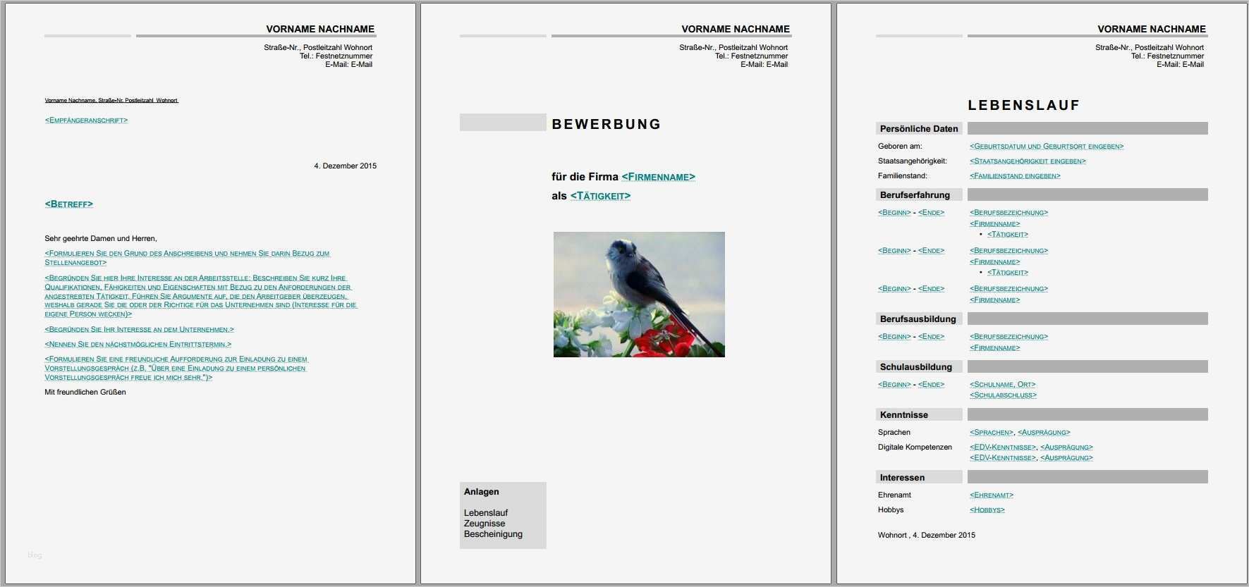 Lebenslauf Vorlage Libreoffice Erstaunlich Bewerbungsvorlagen Für Libreoffice