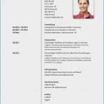 Lebenslauf Vorlage Libreoffice Erstaunlich Ziemlich Download Lebenslauf Vorlagen Zeitgenössisch