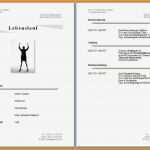 Lebenslauf Vorlage Libreoffice Genial 13 Lebenslauf Modern 2015