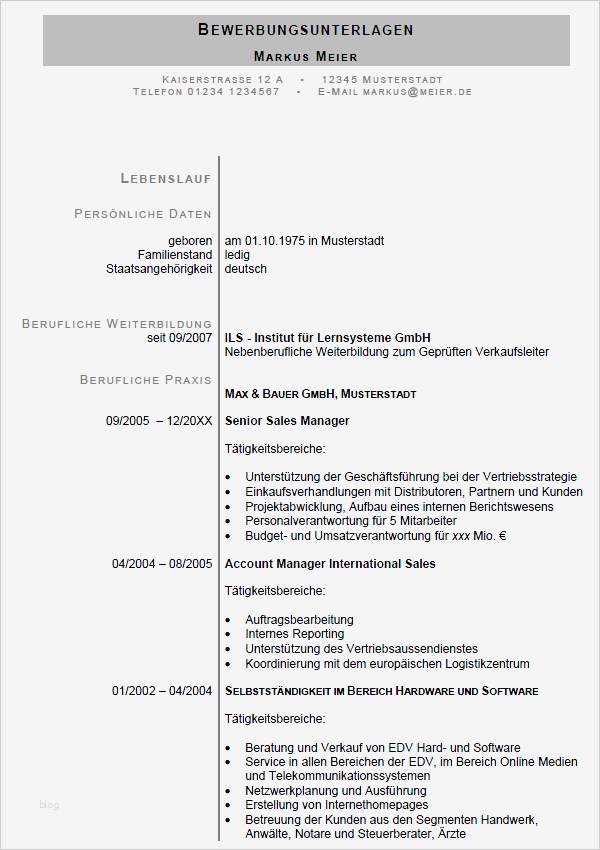 Lebenslauf Vorlage Manager Bewundernswert Download Musterbewerbung Zum Senior Sales Manager